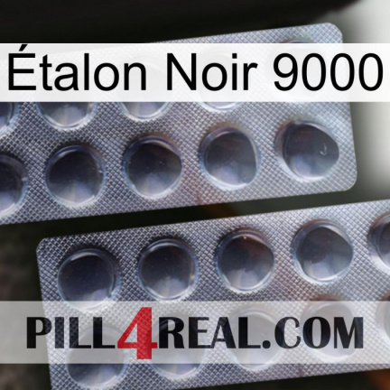 Étalon Noir 9000 31